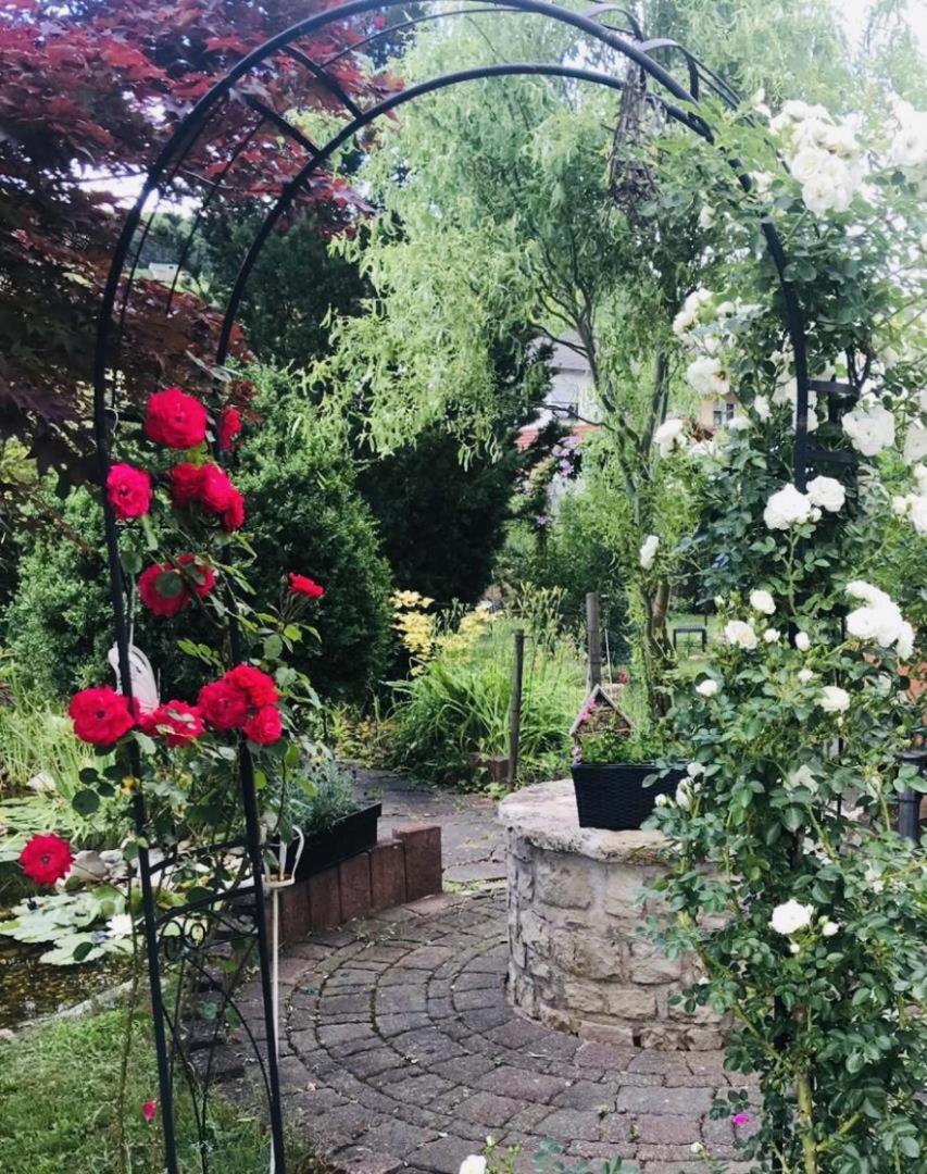Modernes Ferienhaus Sauerblick Langsur Esterno foto
