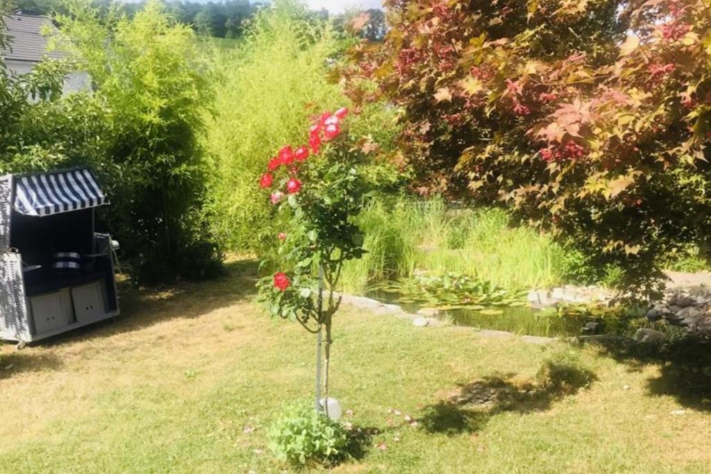 Modernes Ferienhaus Sauerblick Langsur Esterno foto